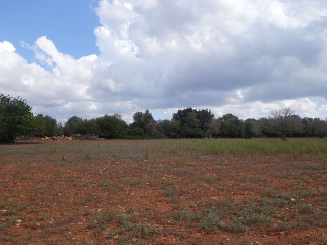 Terreno Não Urbanizado para venda em Felanitx - 375 000 € (Ref: 7450906)