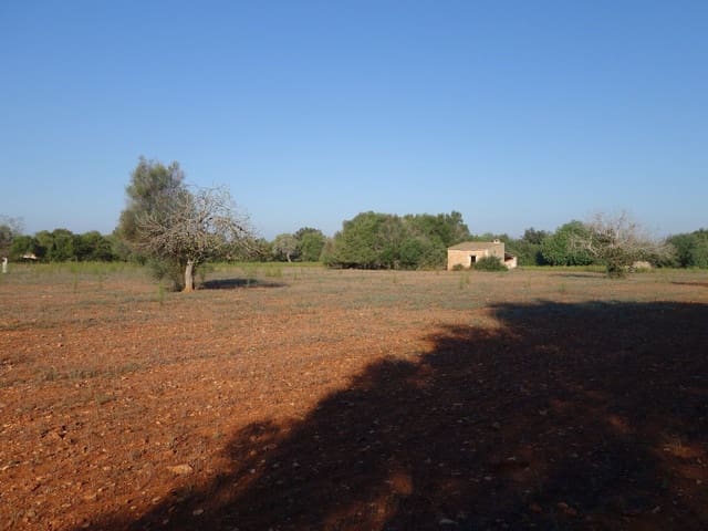 Terreno Não Urbanizado para venda em Felanitx - 375 000 € (Ref: 7450906)