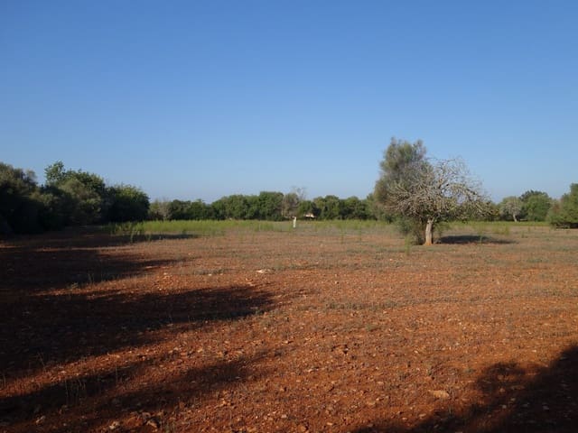 Terreno Não Urbanizado para venda em Felanitx - 375 000 € (Ref: 7450906)