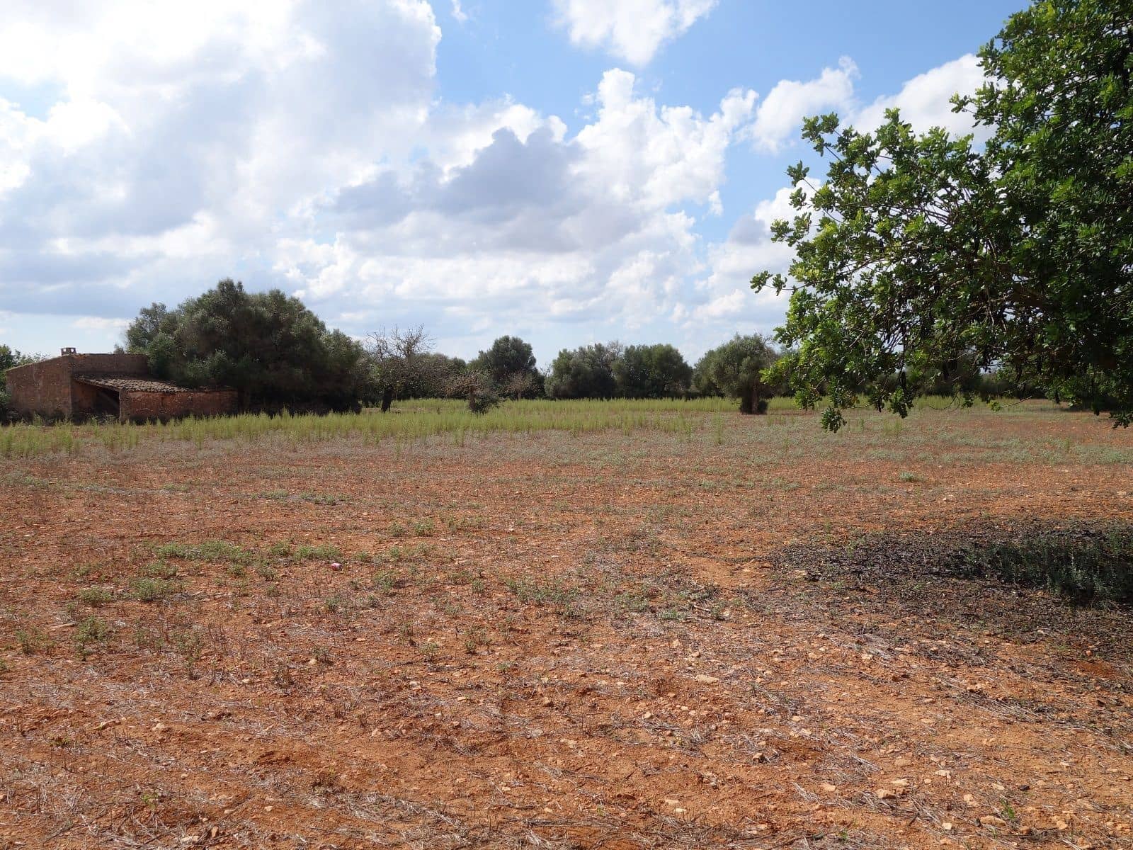 Terreno Não Urbanizado para venda em Felanitx - 375 000 € (Ref: 7450906)