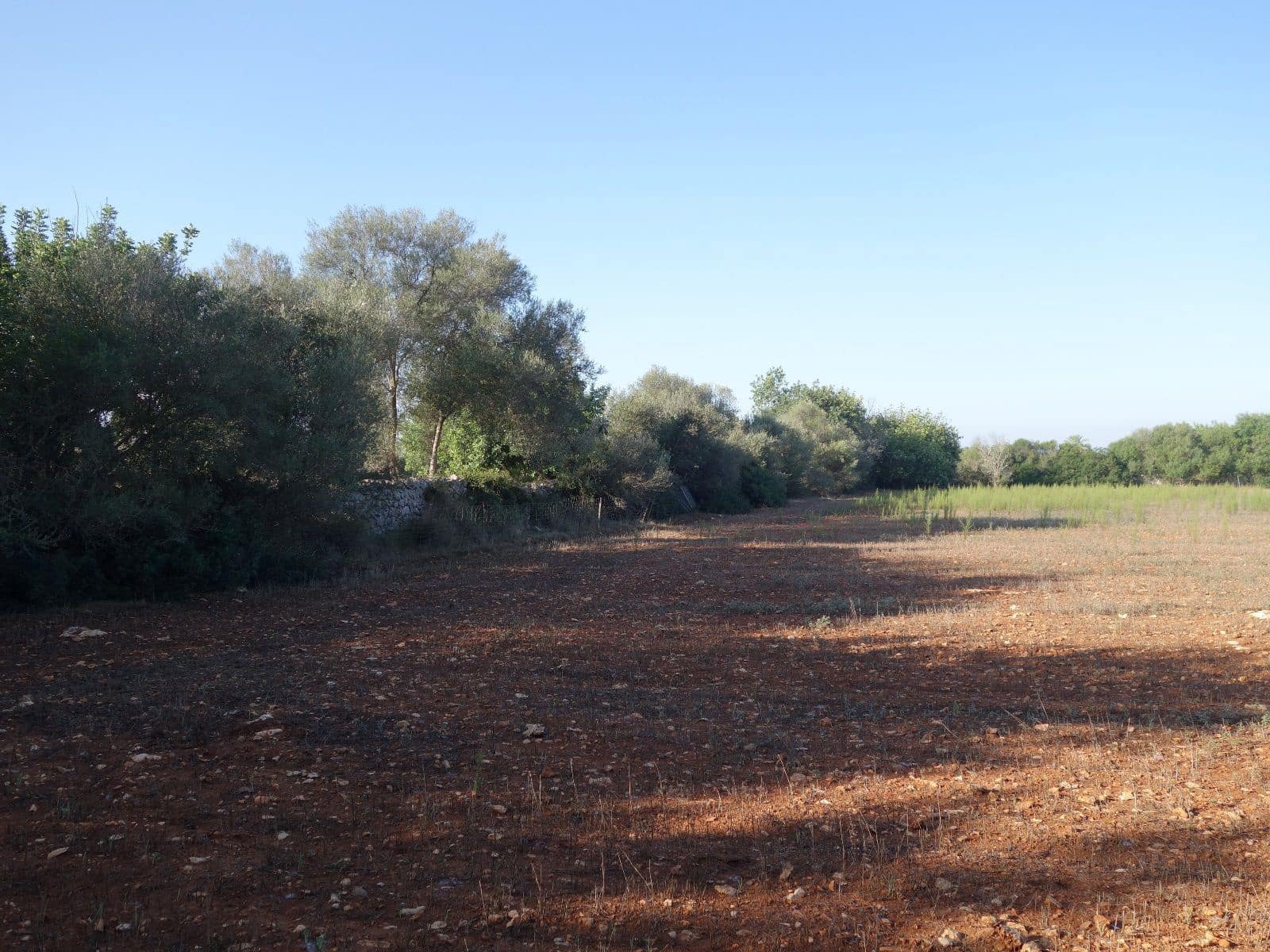 Terreno Não Urbanizado para venda em Felanitx - 375 000 € (Ref: 7450906)