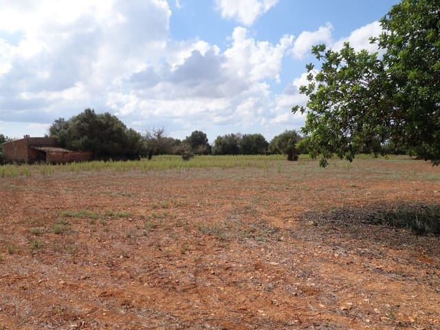 Terreno Não Urbanizado para venda em Felanitx - 375 000 € (Ref: 7450906)