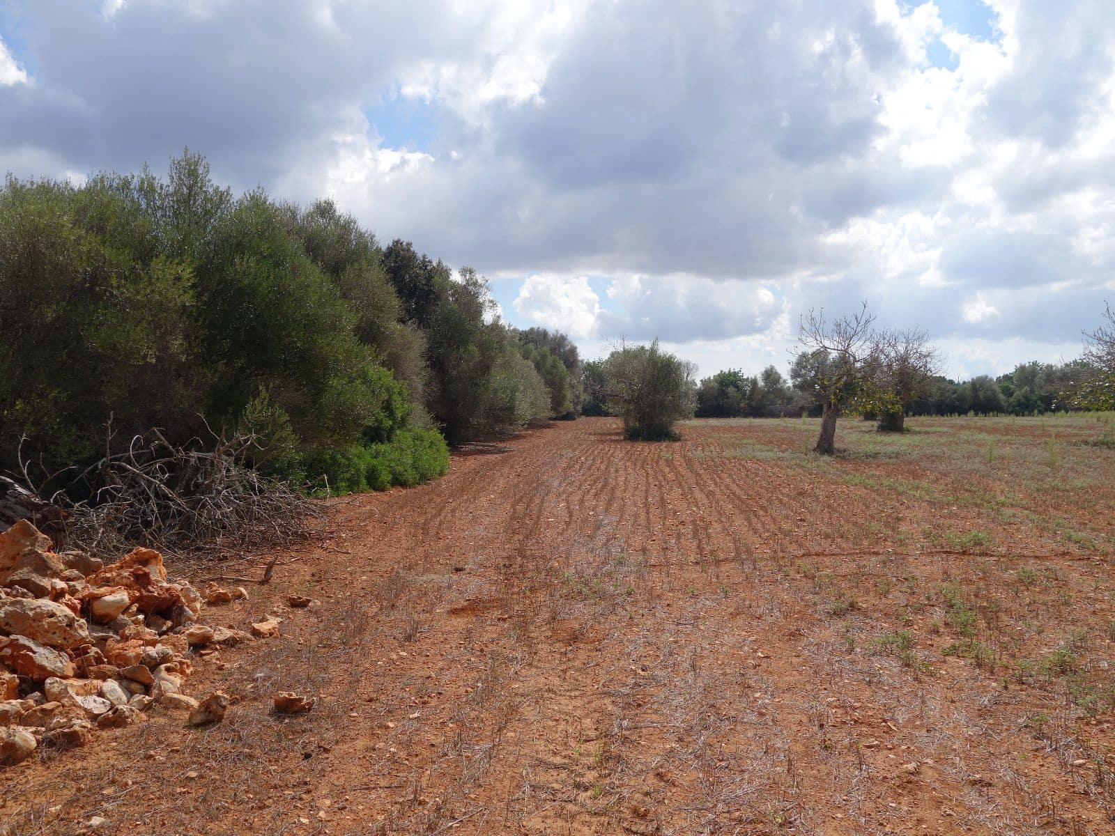 Terreno Não Urbanizado para venda em Felanitx - 375 000 € (Ref: 7450906)