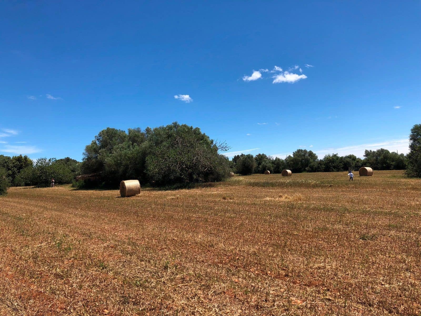 Terreno Não Urbanizado para venda em Felanitx - 375 000 € (Ref: 7450906)