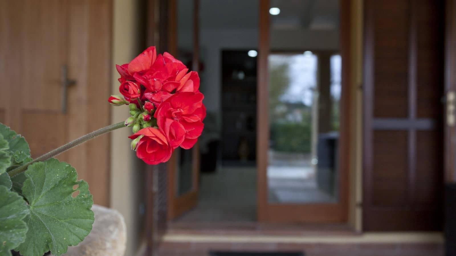 4 sypialnia Finka/Dom wiejski na sprzedaż w Pollensa / Pollenca z basenem - 900 000 € (Ref: 7450913)