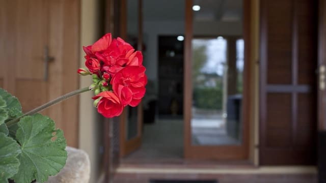 4 sypialnia Finka/Dom wiejski na sprzedaż w Port de Pollença, Pollensa / Pollença z basenem - 900 000 € (Ref: 7450913)