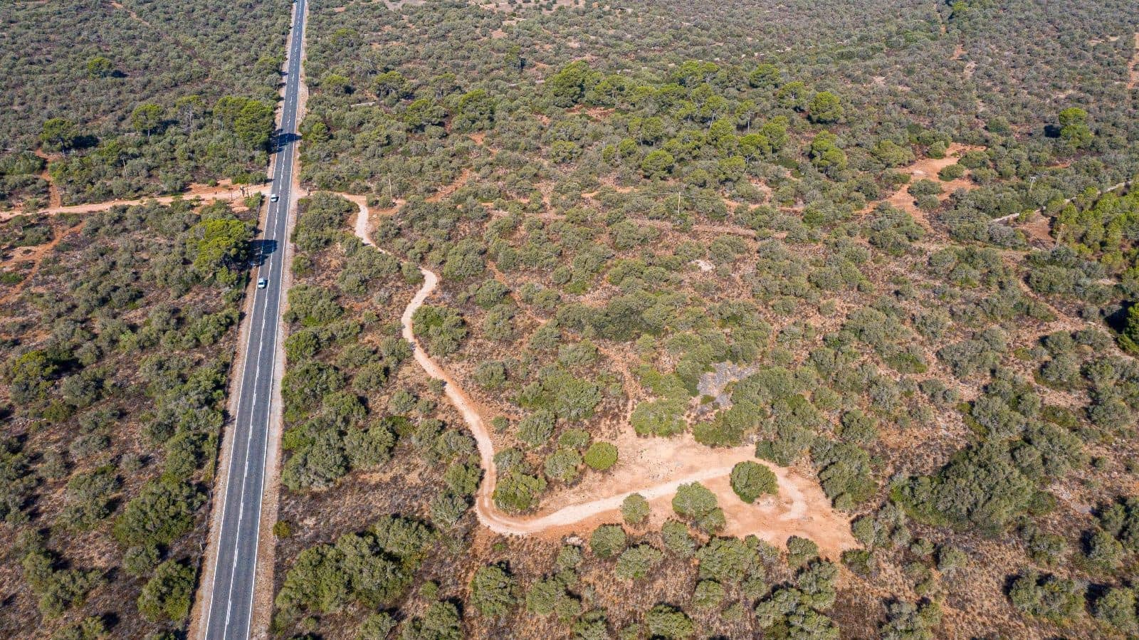 Undeveloped Land for sale in Llucmajor - € 980,000 (Ref: 7450923)