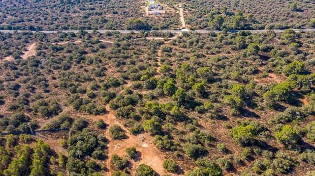 Undeveloped Land for sale in Llucmajor - € 980,000 (Ref: 7450923)