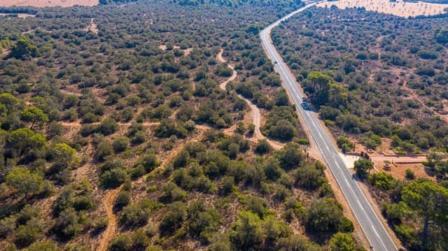 Undeveloped Land for sale in Llucmajor - € 980,000 (Ref: 7450923)