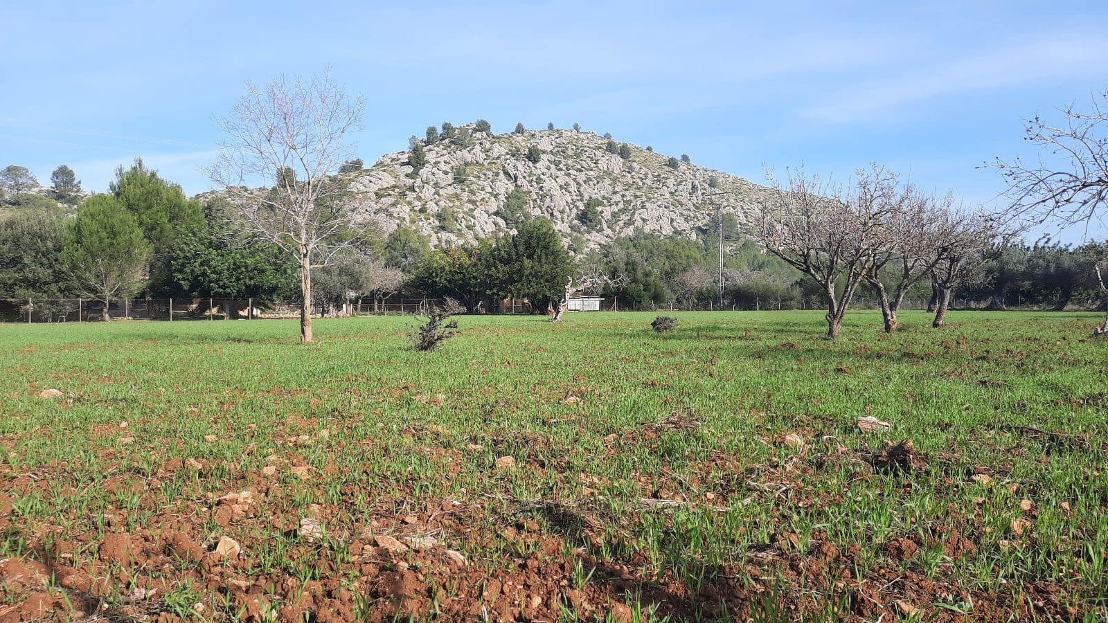5 slaapkamer Finca/Landhuis te koop in Pollensa / Pollenca met garage - € 890.000 (Ref: 7450928)