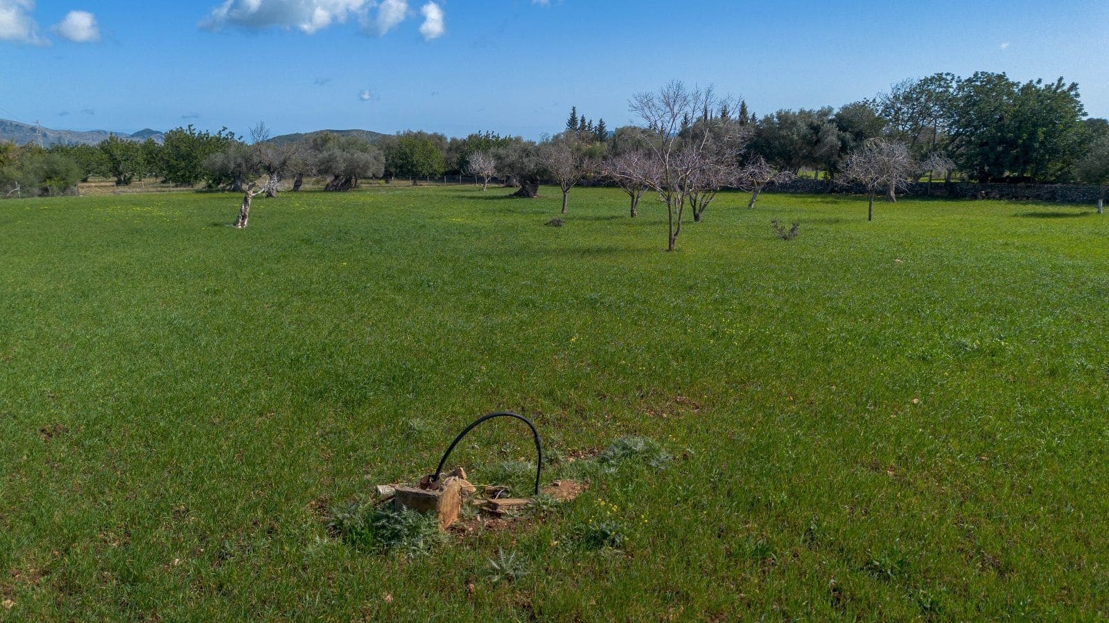 5 slaapkamer Finca/Landhuis te koop in Pollensa / Pollenca met garage - € 890.000 (Ref: 7450928)