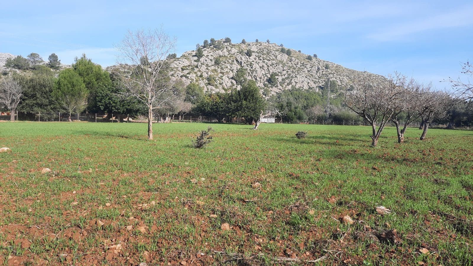 5 slaapkamer Finca/Landhuis te koop in Pollensa / Pollenca met garage - € 890.000 (Ref: 7450928)