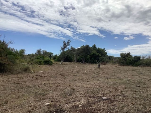Undeveloped Land for sale in Capdepera - € 399,000 (Ref: 7450931)