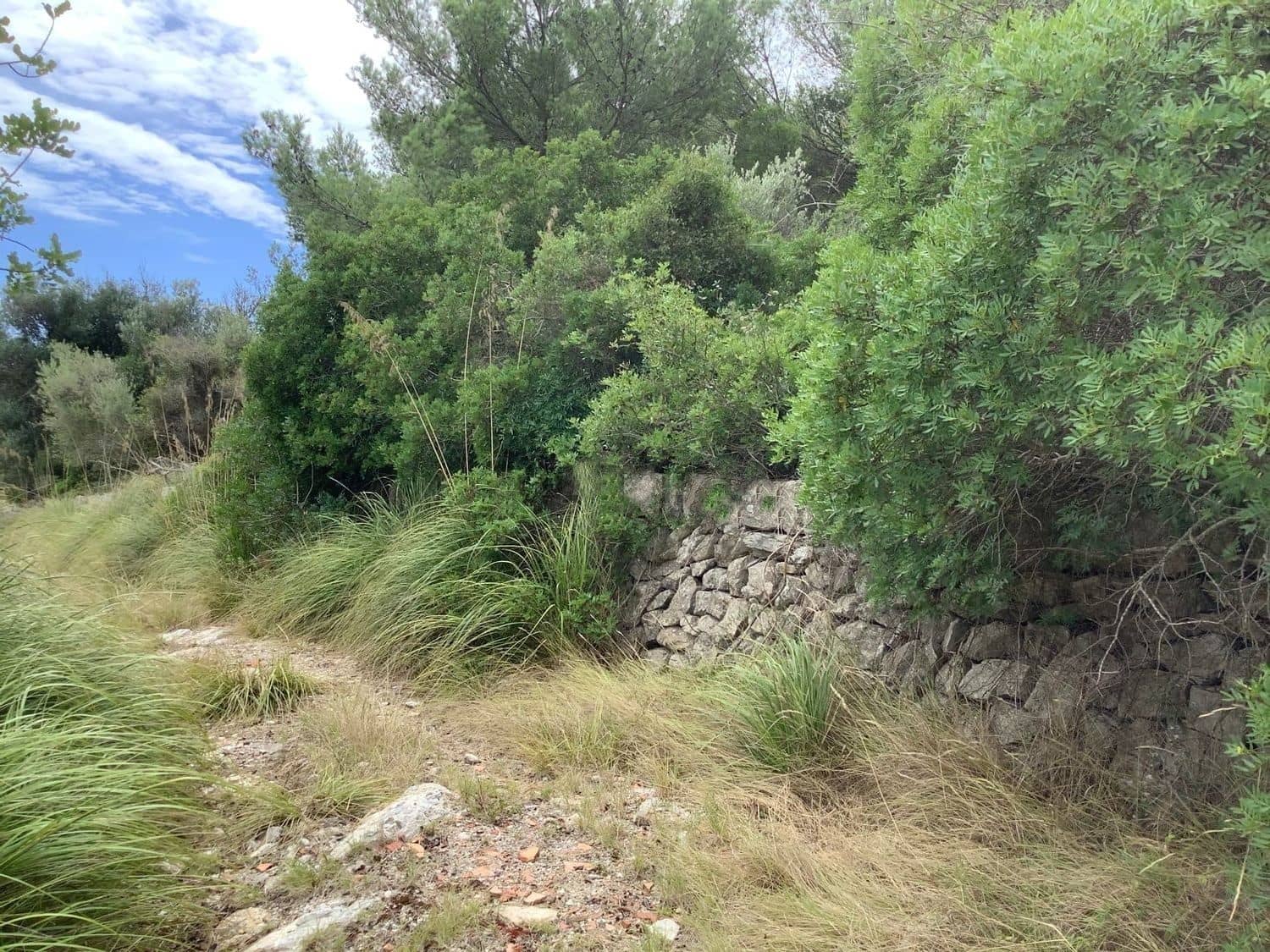 Grunde uden byggetilladelser til salg i Capdepera - € 399.000 (Ref: 7450931)