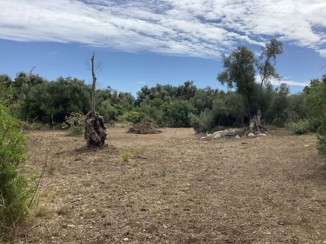 Undeveloped Land for sale in Capdepera - € 399,000 (Ref: 7450931)
