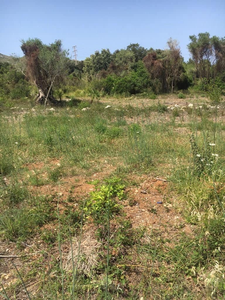 Grunde uden byggetilladelser til salg i Capdepera - € 399.000 (Ref: 7450931)