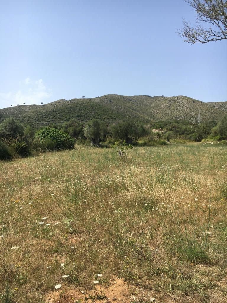 Grunde uden byggetilladelser til salg i Capdepera - € 399.000 (Ref: 7450931)