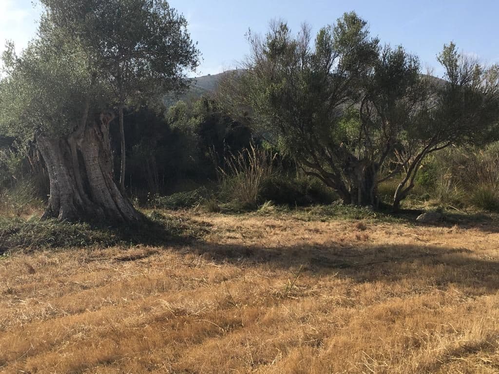 Grunde uden byggetilladelser til salg i Capdepera - € 399.000 (Ref: 7450931)