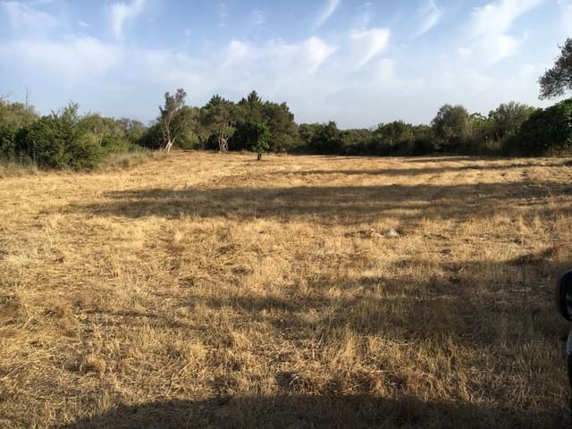 Undeveloped Land for sale in Capdepera - € 399,000 (Ref: 7450931)
