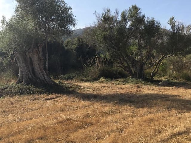 Undeveloped Land for sale in Capdepera - € 399,000 (Ref: 7450931)