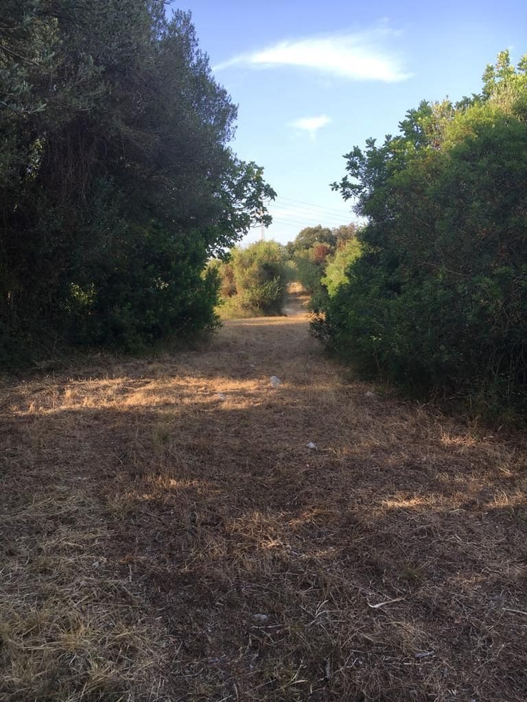 Grunde uden byggetilladelser til salg i Capdepera - € 399.000 (Ref: 7450931)