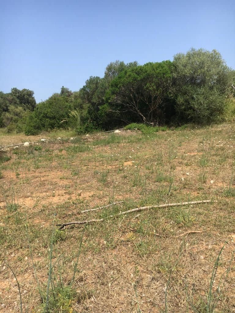 Grunde uden byggetilladelser til salg i Capdepera - € 399.000 (Ref: 7450931)