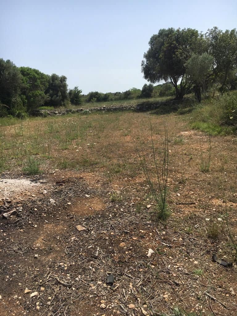 Grunde uden byggetilladelser til salg i Capdepera - € 399.000 (Ref: 7450931)