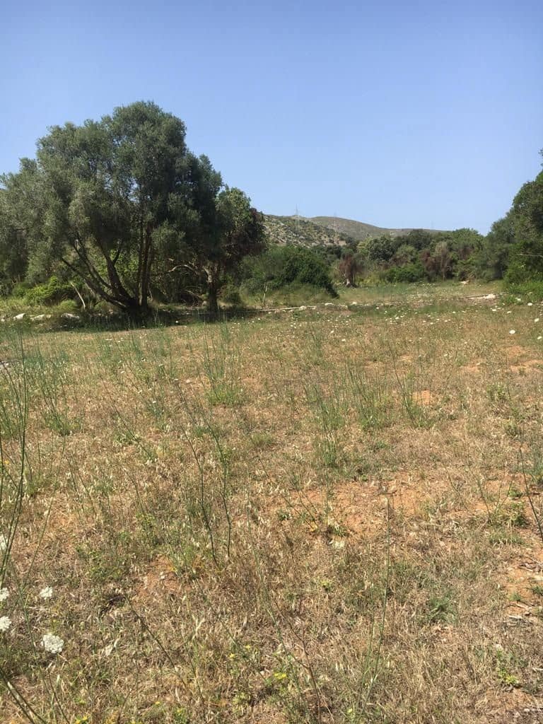 Grunde uden byggetilladelser til salg i Capdepera - € 399.000 (Ref: 7450931)