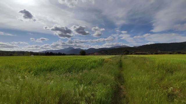 Landgrundstück zu verkaufen in Campanet - 320.000 € (Ref: 7450936)