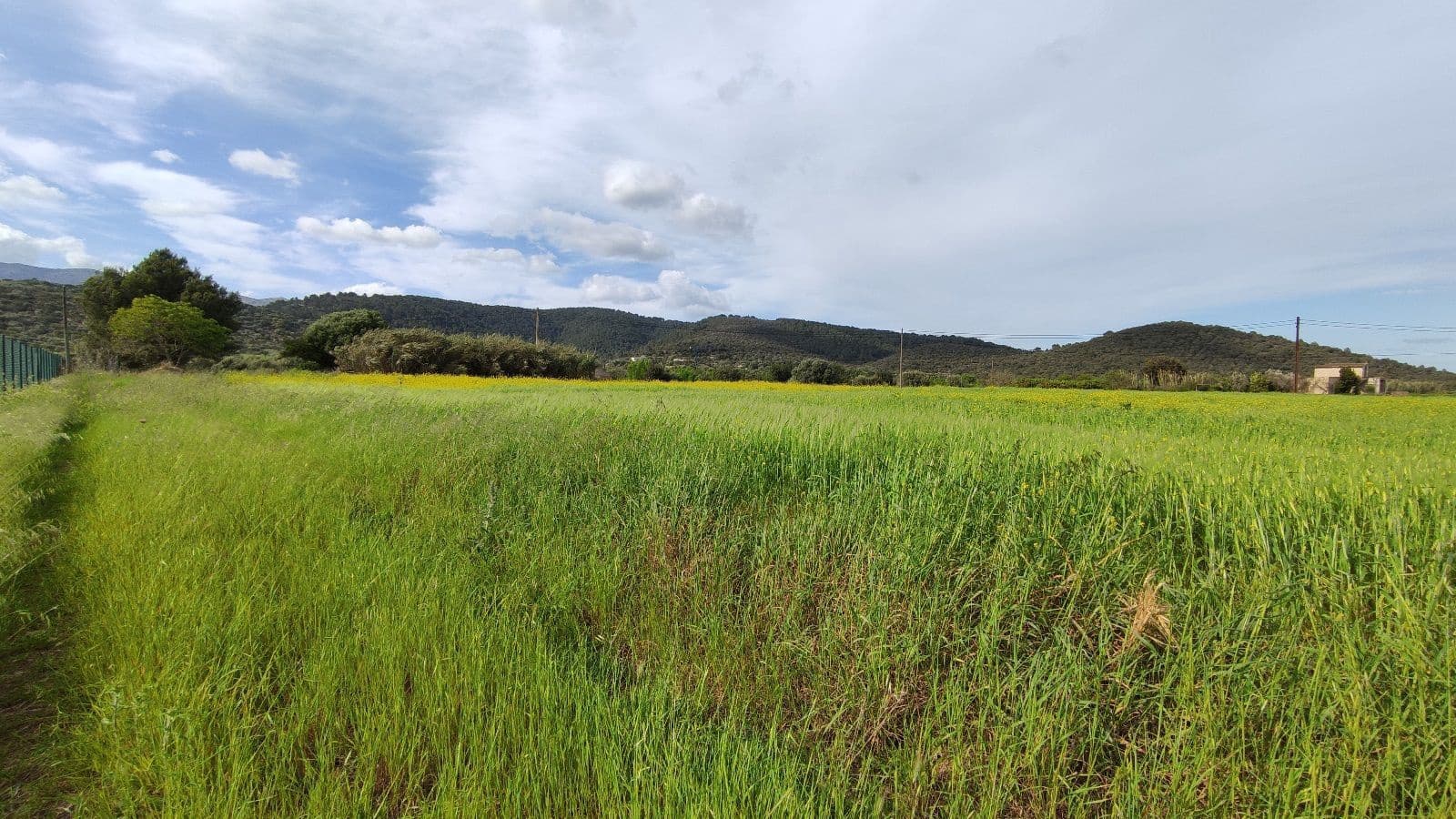 Grunde uden byggetilladelser til salg i Campanet - € 320.000 (Ref: 7450936)