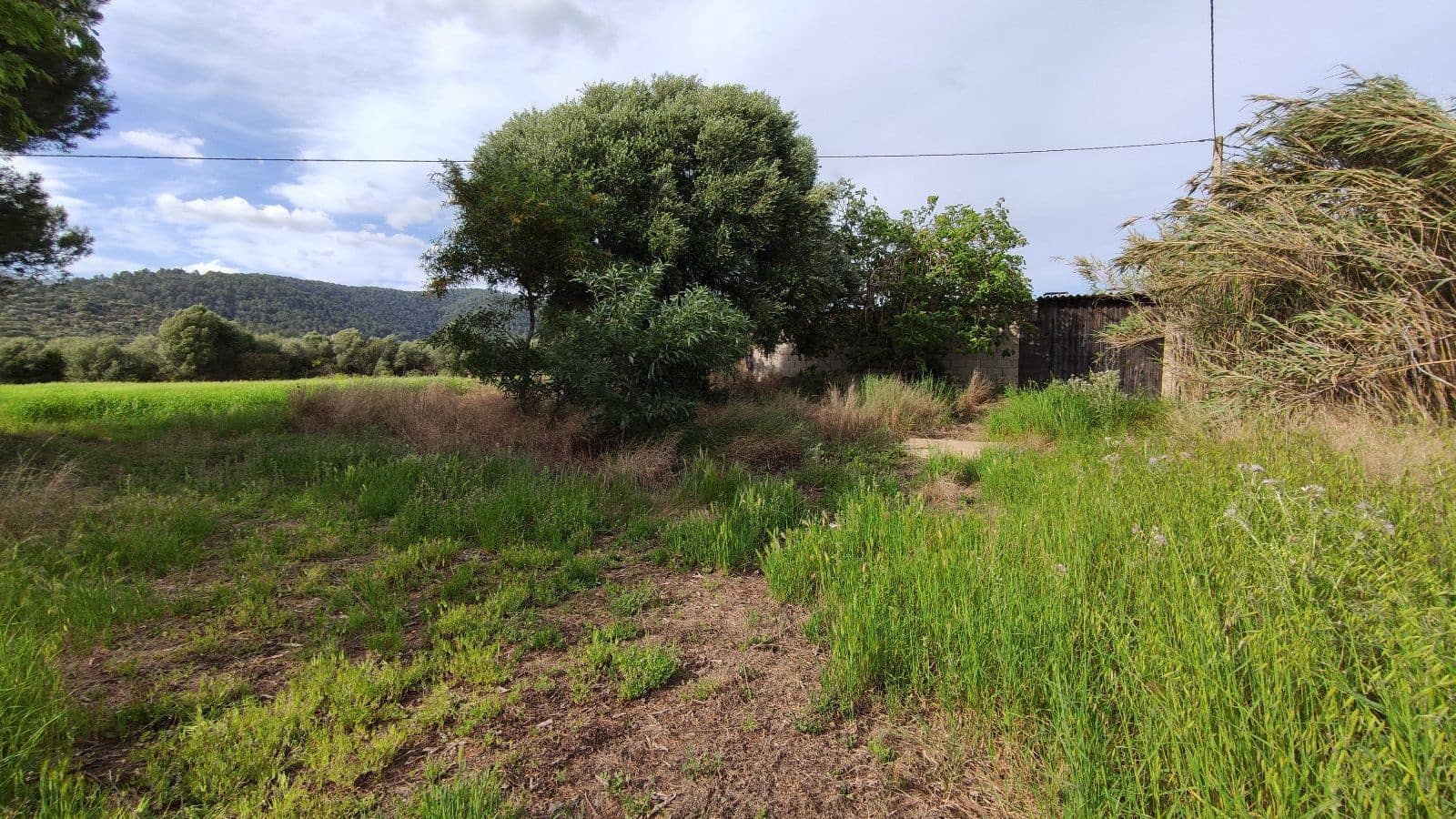 Grunde uden byggetilladelser til salg i Campanet - € 320.000 (Ref: 7450936)