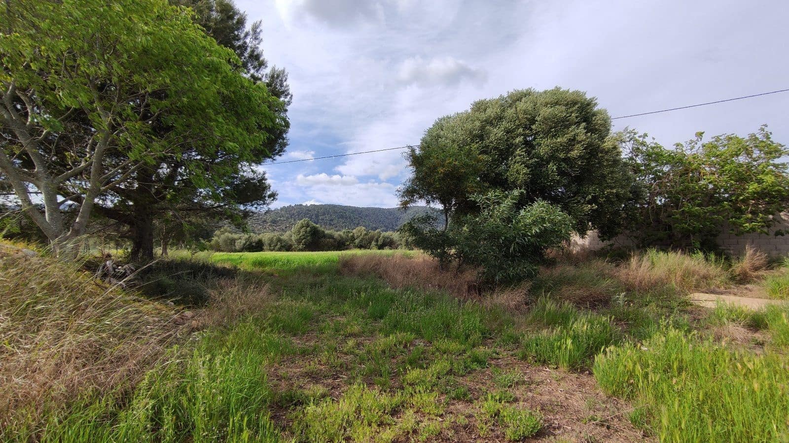 Grunde uden byggetilladelser til salg i Campanet - € 320.000 (Ref: 7450936)