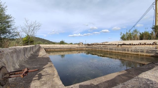 Ubebygd land til salgs i Campanet - € 320 000 (Ref: 7450936)