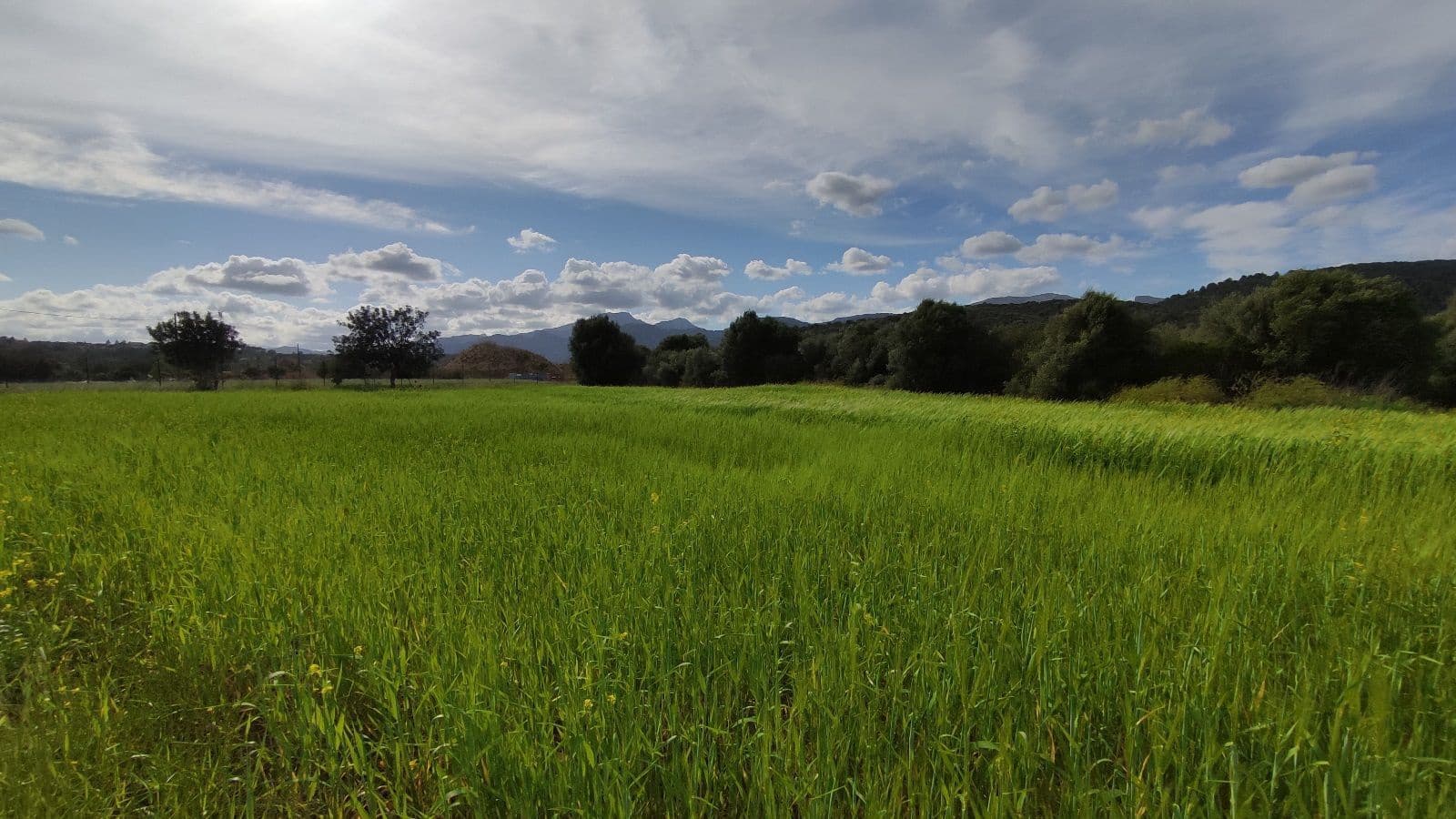 Grunde uden byggetilladelser til salg i Campanet - € 320.000 (Ref: 7450936)