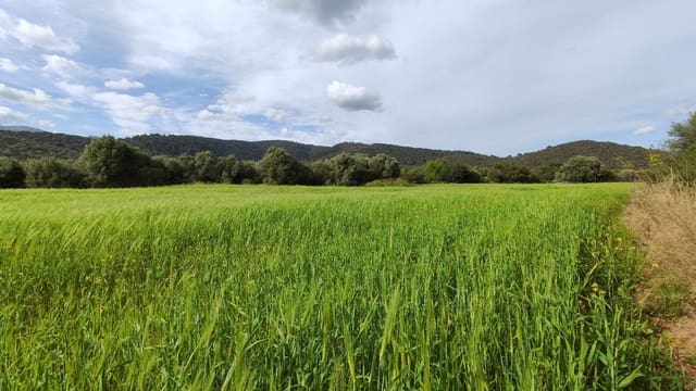 Ubebygd land til salgs i Campanet - € 320 000 (Ref: 7450936)