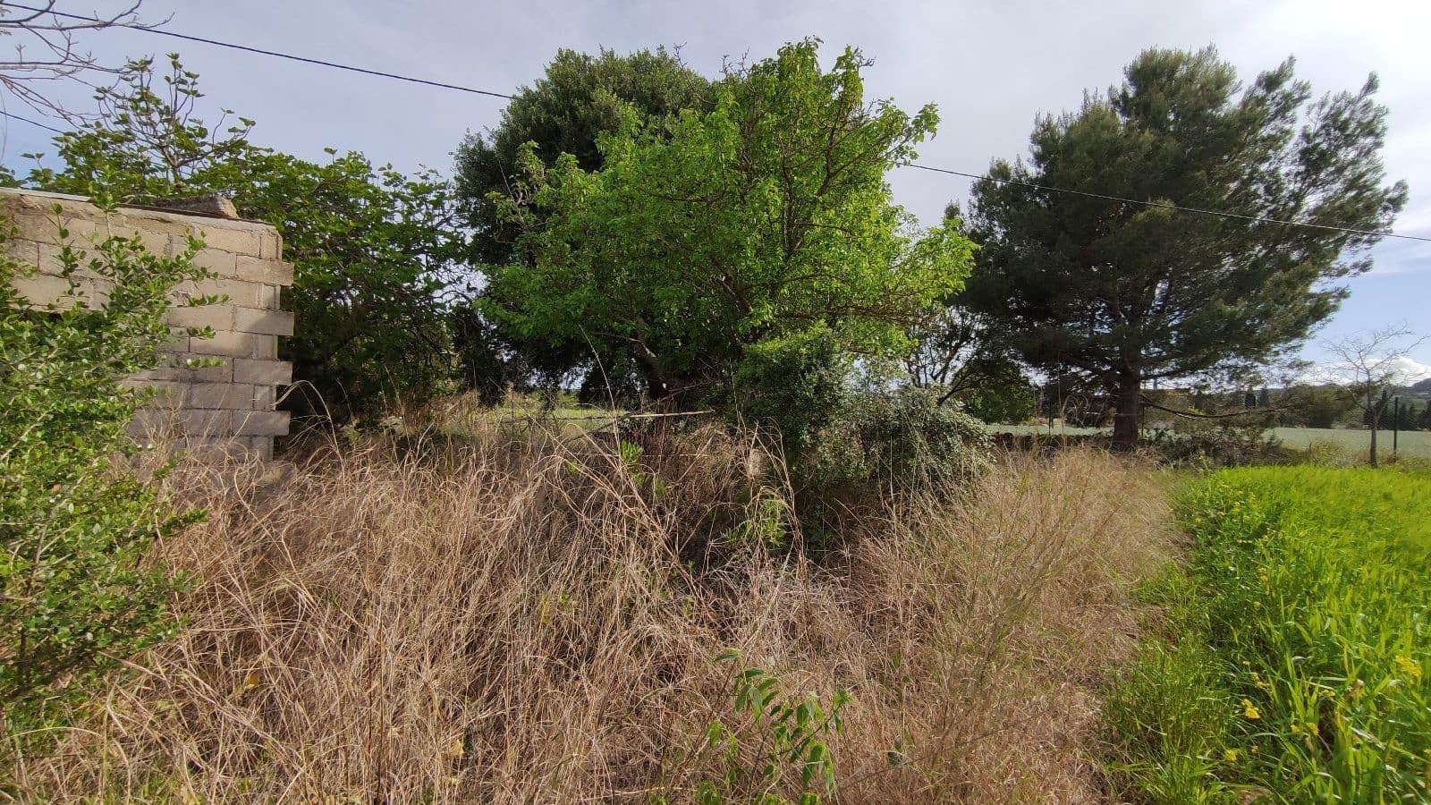 Grunde uden byggetilladelser til salg i Campanet - € 320.000 (Ref: 7450936)