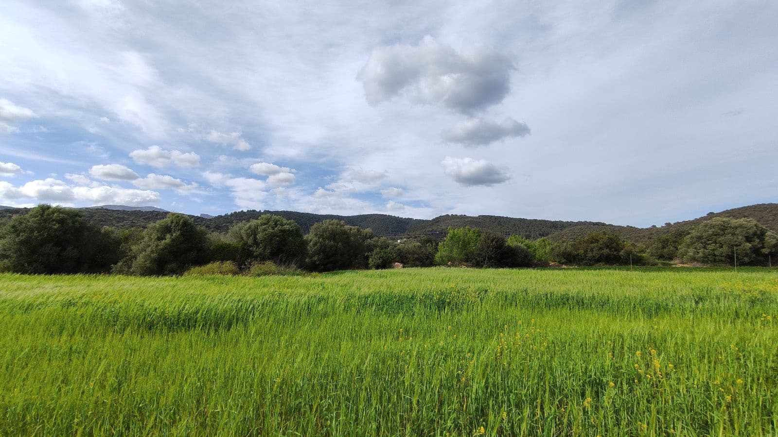 Grunde uden byggetilladelser til salg i Campanet - € 320.000 (Ref: 7450936)