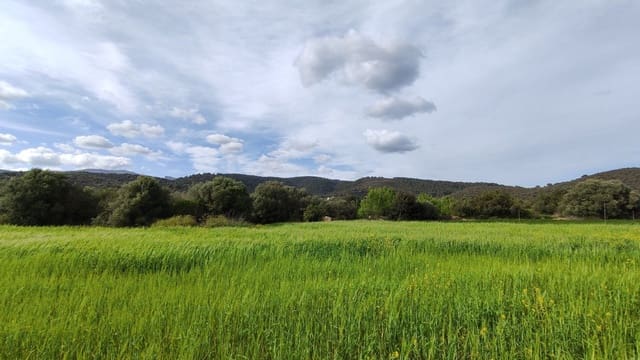 Landgrundstück zu verkaufen in Campanet - 320.000 € (Ref: 7450936)