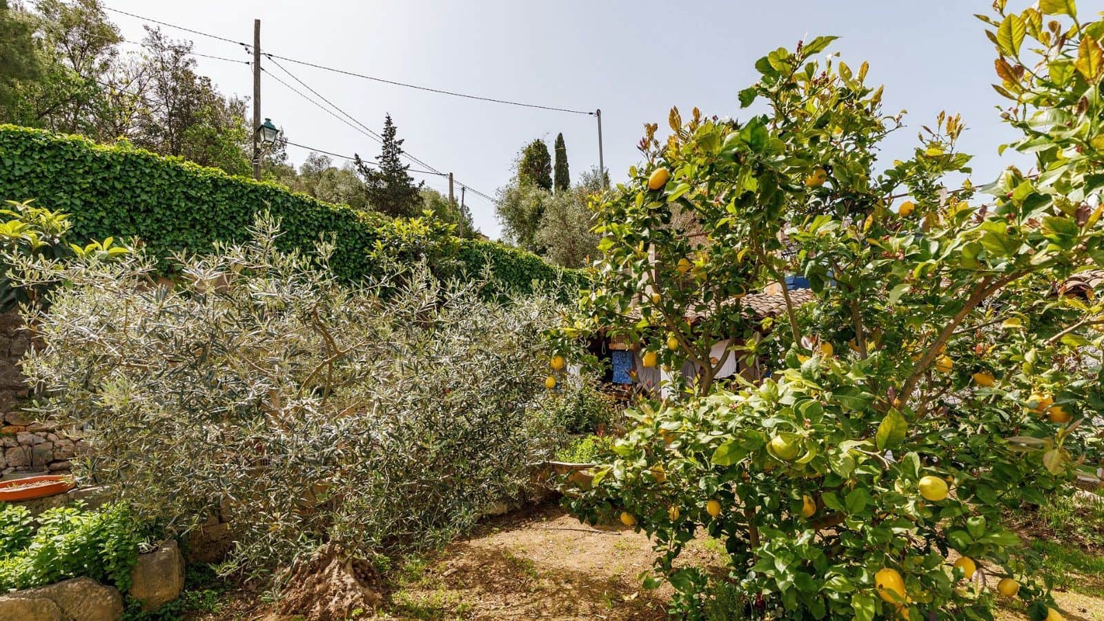 3 camera da letto Appartamento in vendita in Pollensa / Pollenca - 900.000 € (Rif: 7450939)