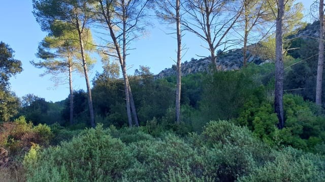 Ubebygd land til salgs i Sa Pobla - € 800 000 (Ref: 7450942)