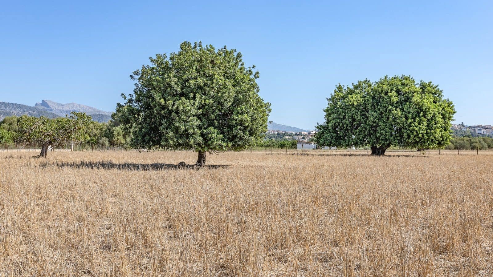 3 soverom Finca/Herregård til salgs i Campanet med garasje - € 800 000 (Ref: 7450945)