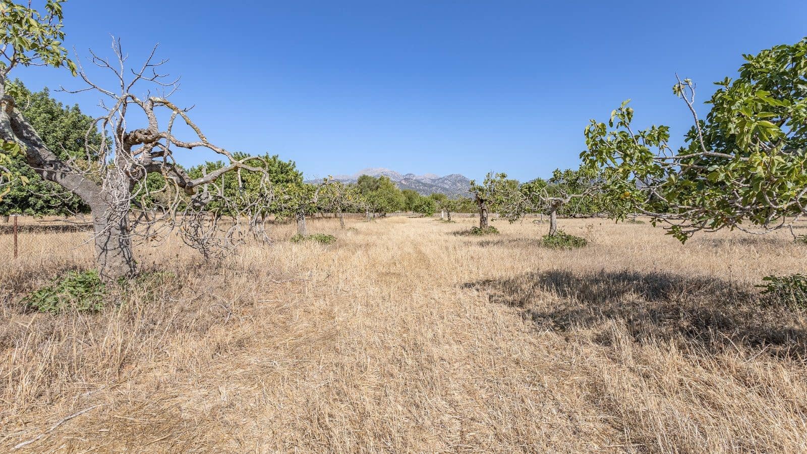 3 soverom Finca/Herregård til salgs i Campanet med garasje - € 800 000 (Ref: 7450945)