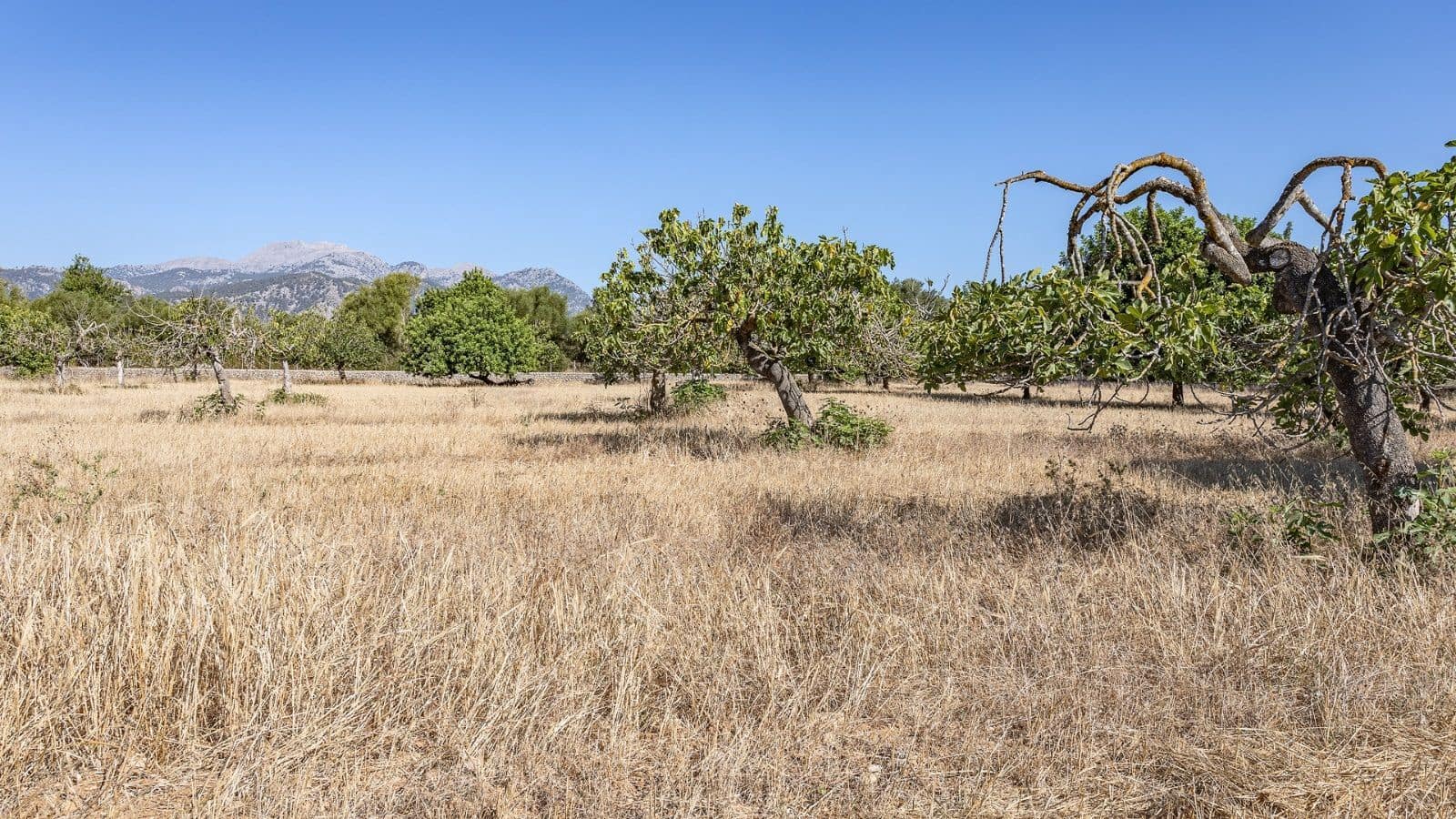 3 soverom Finca/Herregård til salgs i Campanet med garasje - € 800 000 (Ref: 7450945)