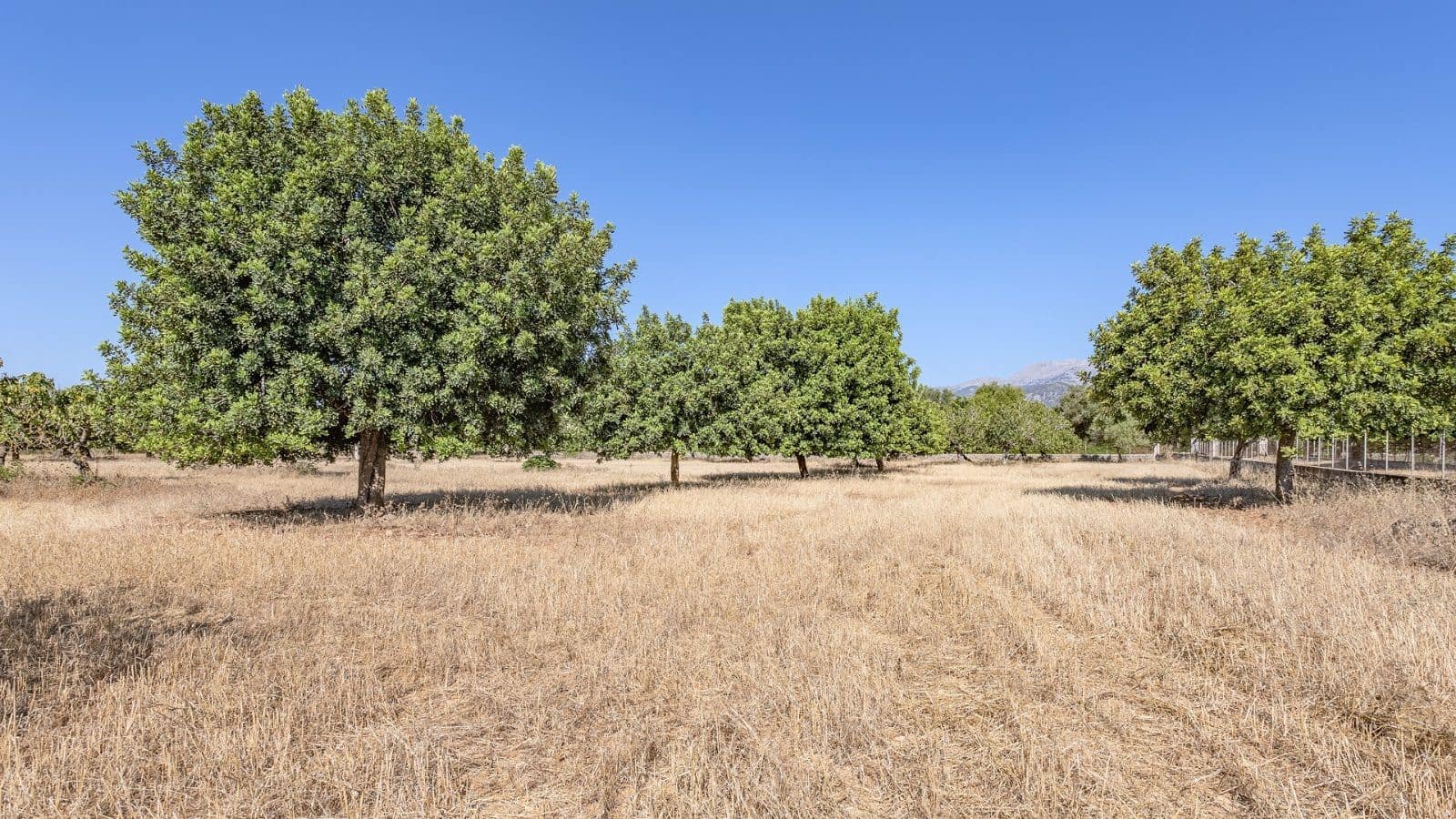 3 soverom Finca/Herregård til salgs i Campanet med garasje - € 800 000 (Ref: 7450945)