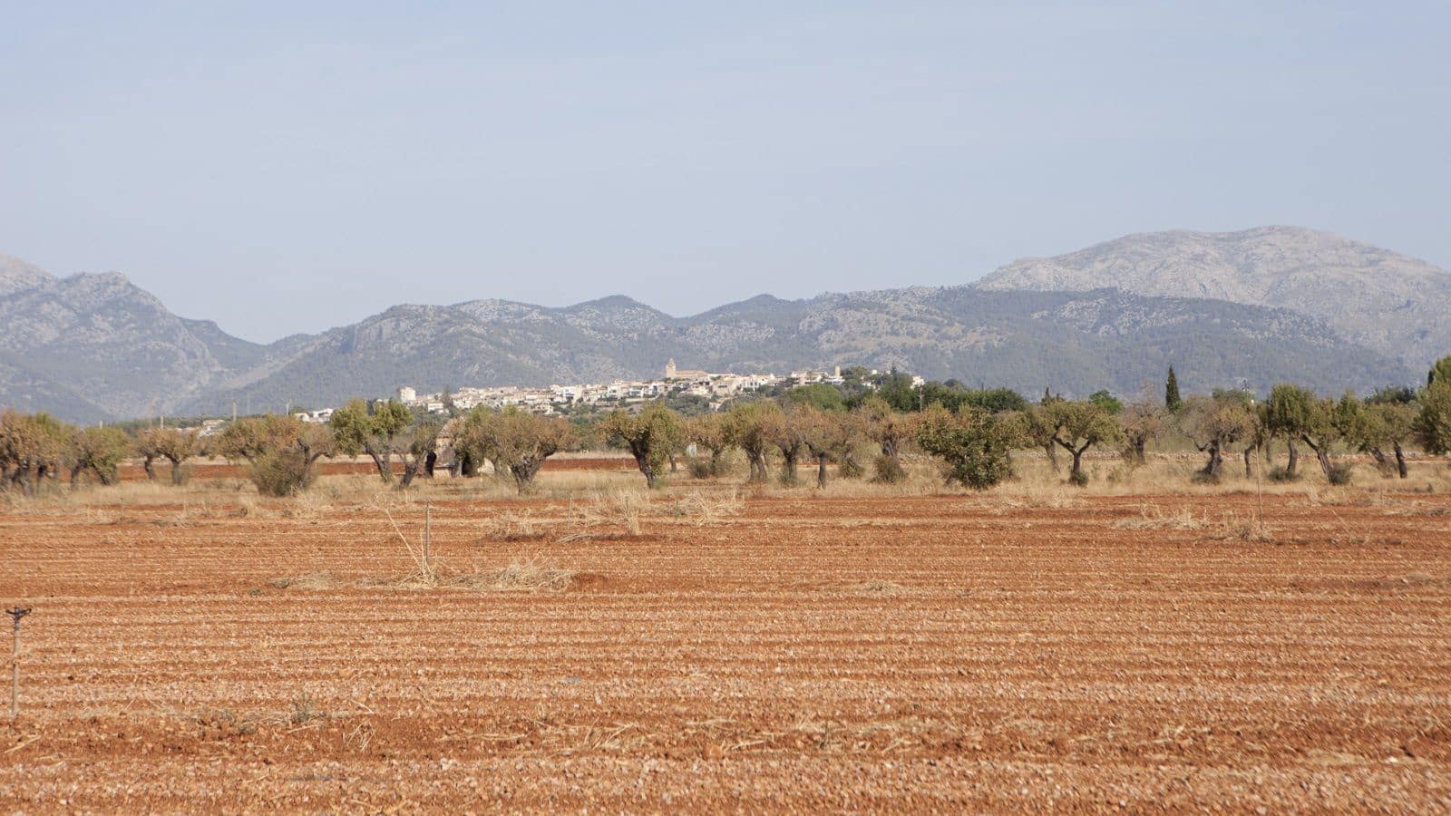 Maalaistalo myytävänä paikassa Sa Pobla - 745 000 € (Ref: 7450949)