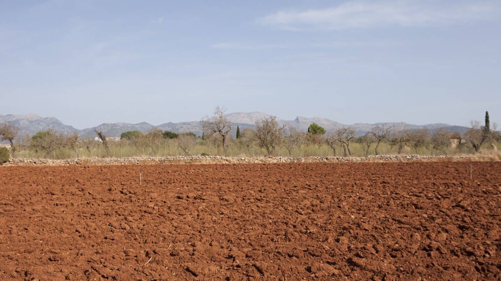 Maalaistalo myytävänä paikassa Sa Pobla - 745 000 € (Ref: 7450949)