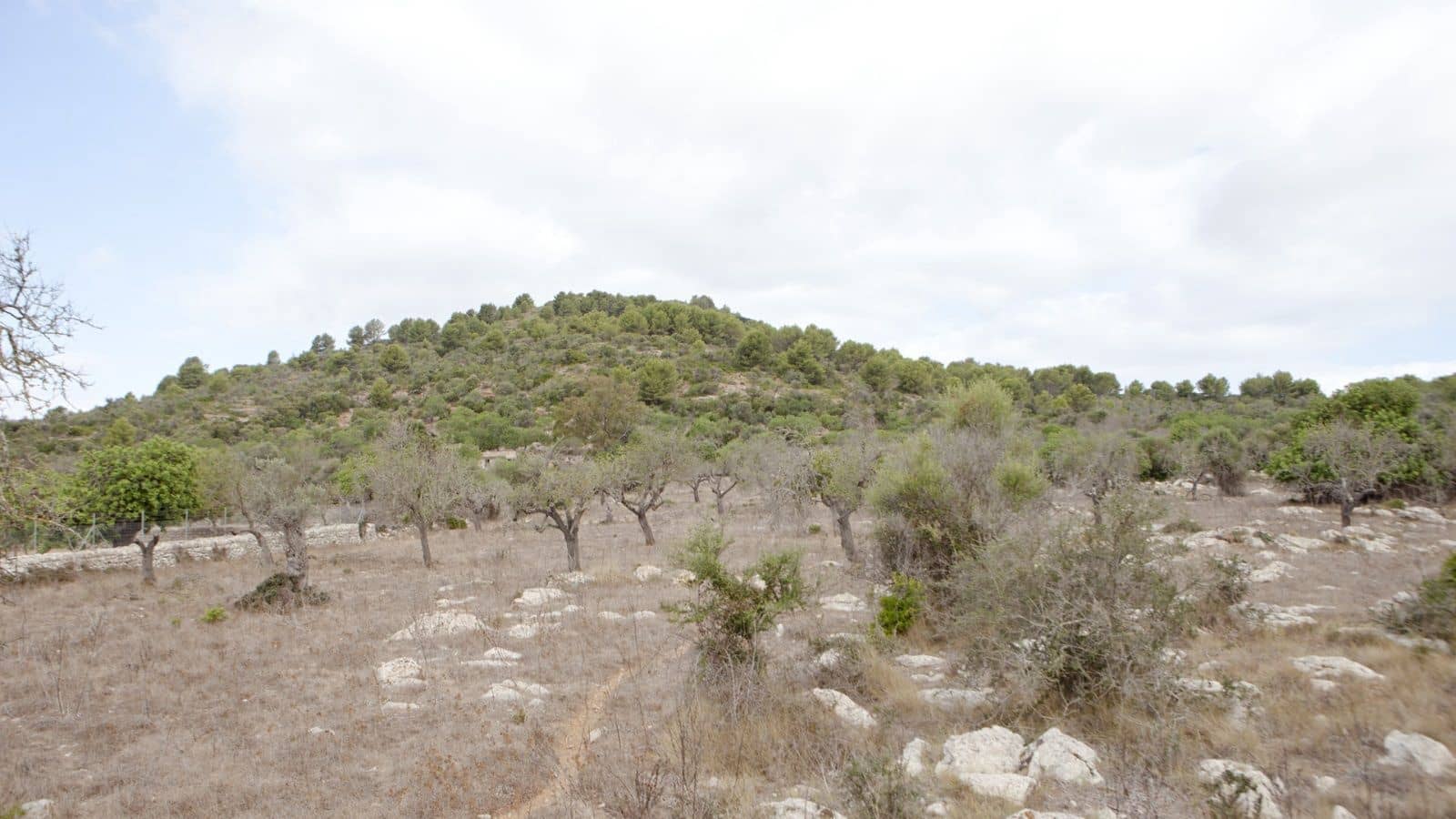 2 soverom Finca/Herregård til salgs i Arta - € 1 800 000 (Ref: 7450952)