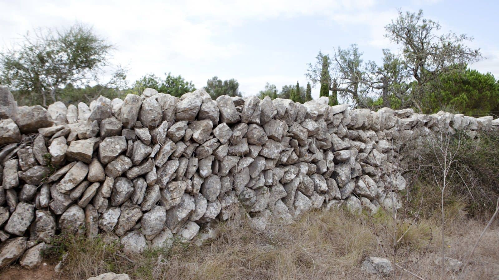 2 soverom Finca/Herregård til salgs i Arta - € 1 800 000 (Ref: 7450952)