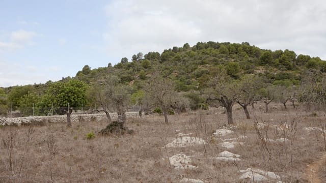 2 soverom Finca/Herregård til salgs i Artà - € 1 800 000 (Ref: 7450952)