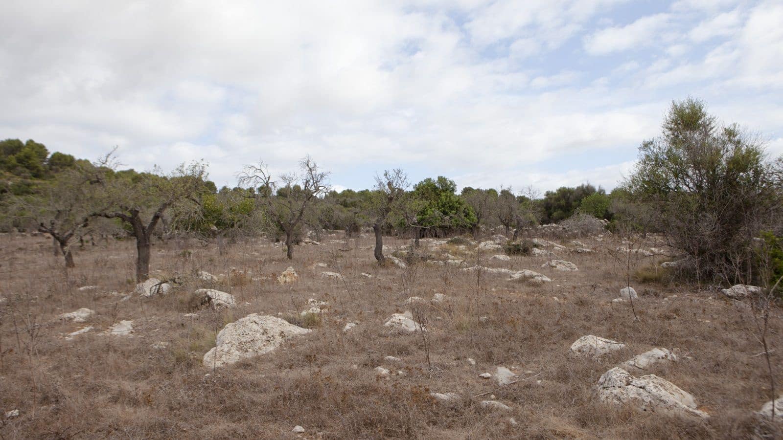 2 soverom Finca/Herregård til salgs i Arta - € 1 800 000 (Ref: 7450952)